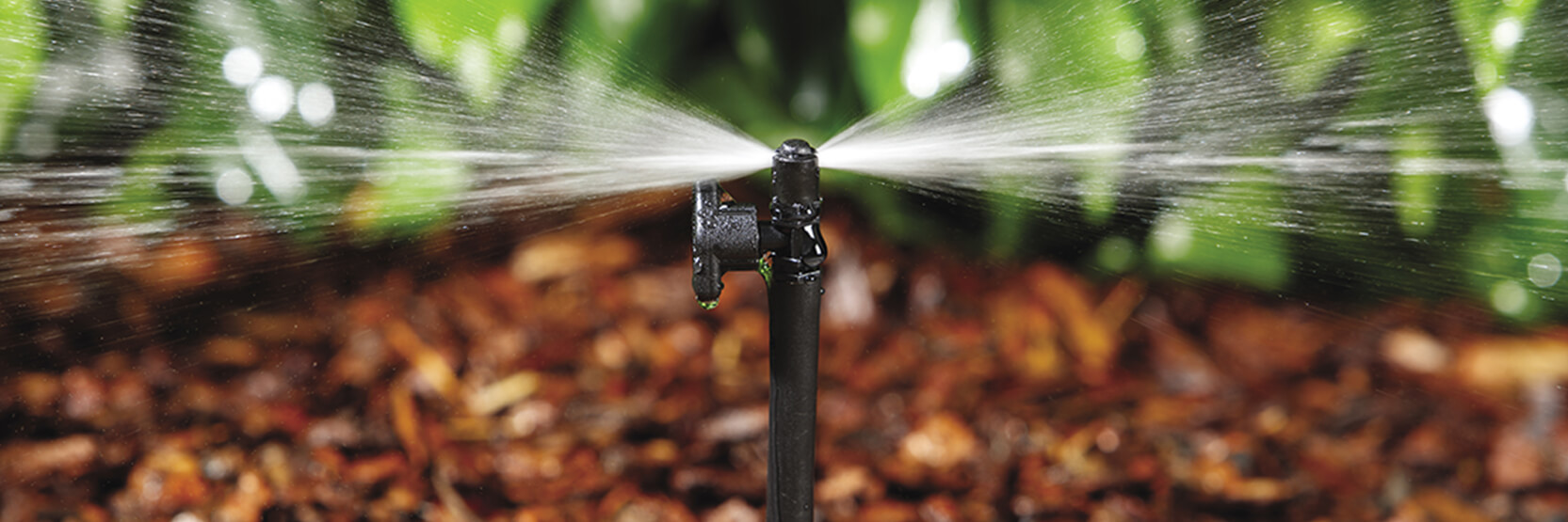 Targeted irrigation: Choosing between sprayers and drippers?