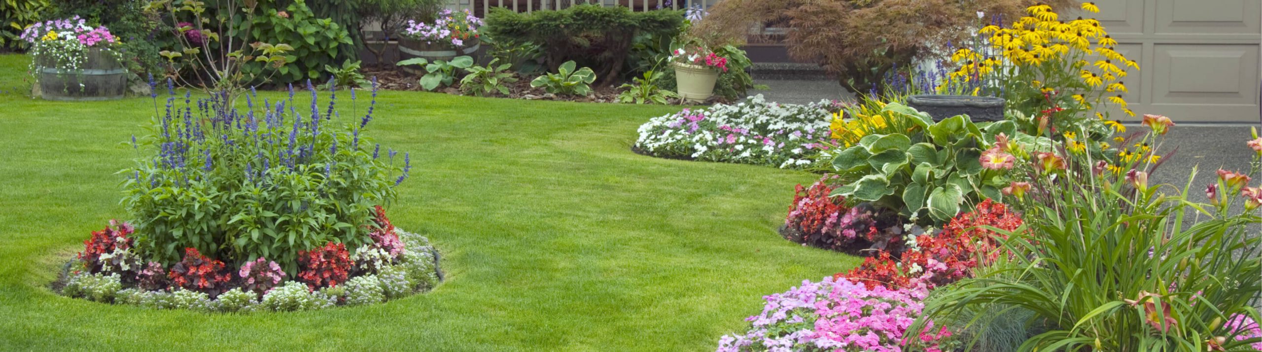 Targeted irrigation Choosing between sprayers and drippers? NETA